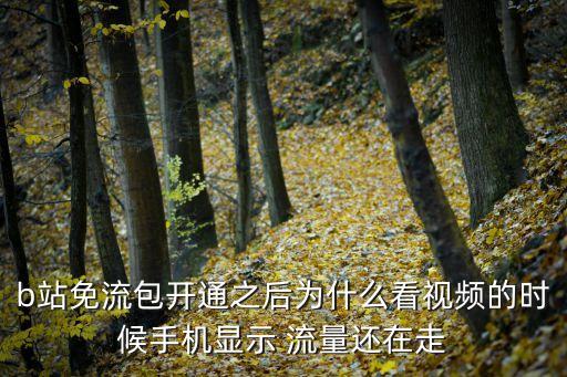 b站免流包開通之后為什么看視頻的時候手機顯示 流量還在走
