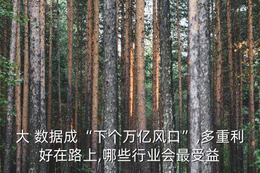 大 數(shù)據(jù)成“下個萬億風口”,多重利好在路上,哪些行業(yè)會最受益