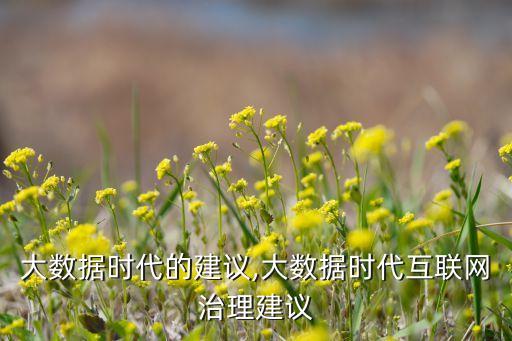應(yīng)對(duì)大數(shù)據(jù)時(shí)代的建議,大數(shù)據(jù)時(shí)代互聯(lián)網(wǎng)治理建議
