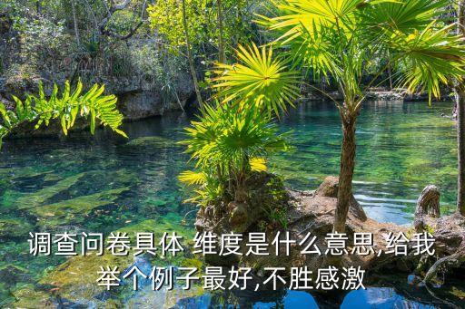 數(shù)據(jù)公司調(diào)查維度,深圳維度數(shù)據(jù)公司地址