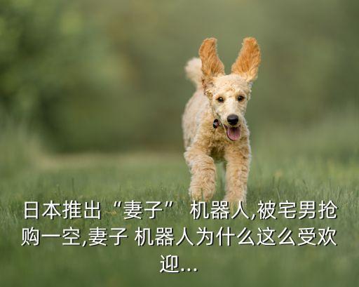美女機(jī)器人會(huì)干什么的,機(jī)器人工程是干什么的