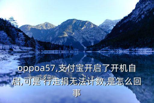 行走捐 數(shù)據(jù)來源 軟件