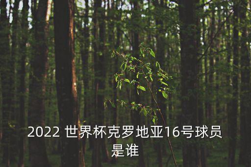 2022 世界杯克羅地亞16號(hào)球員是誰(shuí)