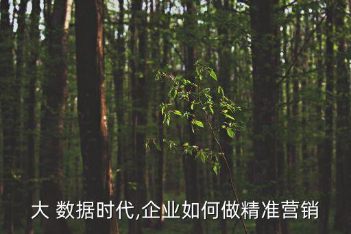 大 數(shù)據(jù)時代,企業(yè)如何做精準(zhǔn)營銷