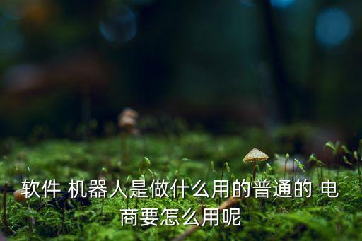 軟件 機(jī)器人是做什么用的普通的 電商要怎么用呢