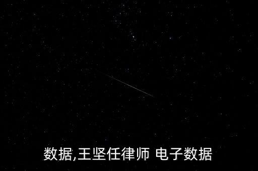 數(shù)據(jù),王堅(jiān)任律師 電子數(shù)據(jù)