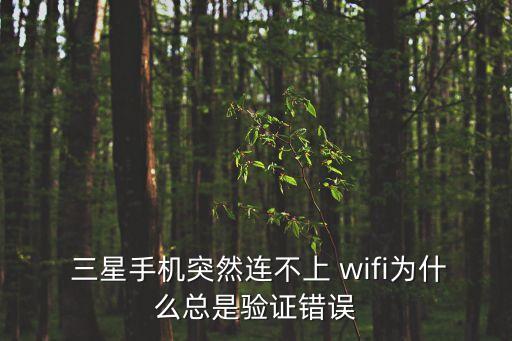  三星手機(jī)突然連不上 wifi為什么總是驗(yàn)證錯(cuò)誤