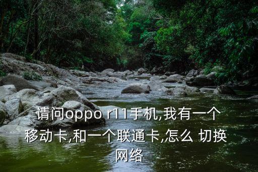r11 數(shù)據(jù)網(wǎng)絡(luò)不能切換