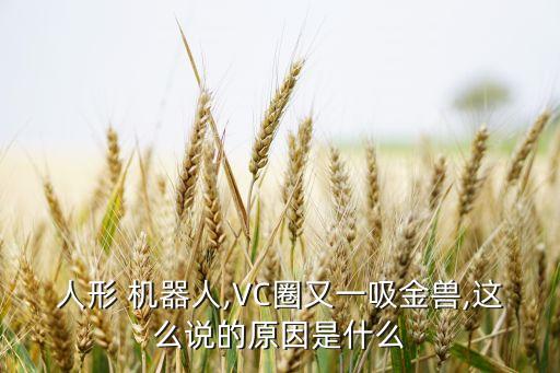 人形 機(jī)器人,VC圈又一吸金獸,這么說(shuō)的原因是什么