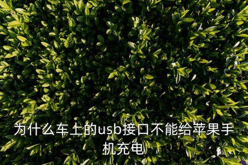 連接車的數(shù)據(jù)線,carlife一定要數(shù)據(jù)線連接車嗎