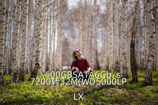 ...500GBSATA6Gb/s7200轉(zhuǎn)32M(WD5000LPLX