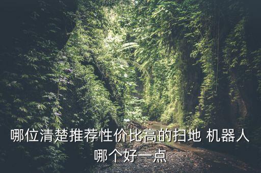 哪位清楚推薦性價比高的掃地 機器人哪個好一點