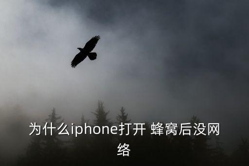 為什么iphone打開(kāi) 蜂窩后沒(méi)網(wǎng)絡(luò)
