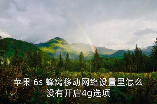 蘋果 6s 蜂窩移動(dòng)網(wǎng)絡(luò)設(shè)置里怎么沒有開啟4g選項(xiàng)