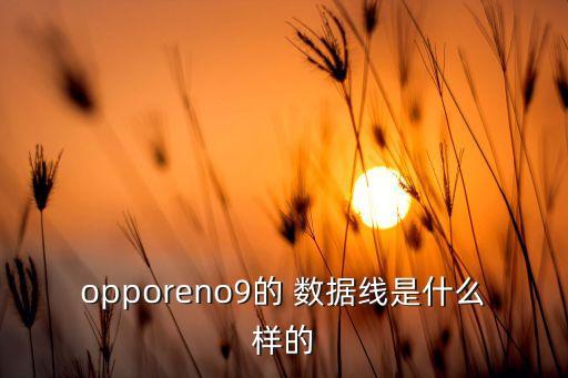 opporeno9的 數(shù)據(jù)線是什么樣的