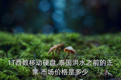 1T西數(shù)移動(dòng)硬盤,泰國洪水之前的正常 市場價(jià)格是多少