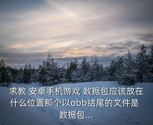 求教 安卓手機(jī)游戲 數(shù)據(jù)包應(yīng)該放在什么位置那個(gè)以obb結(jié)尾的文件是 數(shù)據(jù)包...