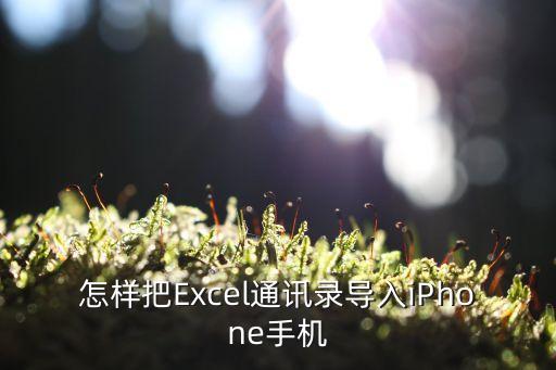 怎樣把Excel通訊錄導(dǎo)入iPhone手機(jī)