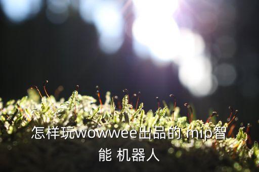 mip機(jī)器人控制軟件,MIP機(jī)器人