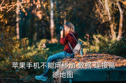 蘋果禁止數(shù)據(jù)連接,蘋果手機(jī)禁止別人連接藍(lán)牙耳機(jī)