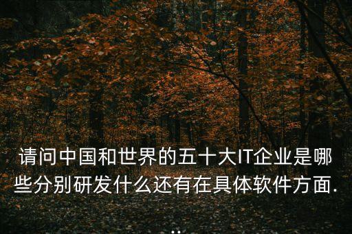 請問中國和世界的五十大IT企業(yè)是哪些分別研發(fā)什么還有在具體軟件方面...