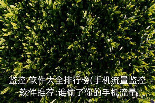 監(jiān)控 軟件大全排行榜(手機(jī)流量監(jiān)控 軟件推薦:誰偷了你的手機(jī)流量