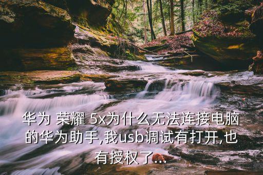 榮耀5x用不了移動數(shù)據(jù)線