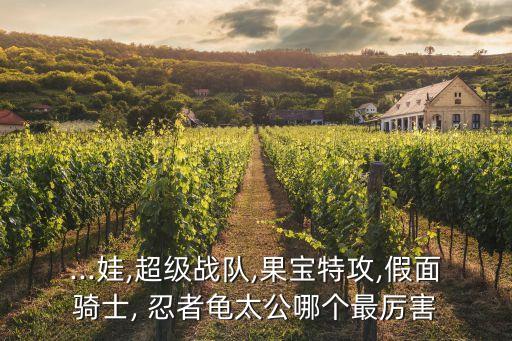 忍者龜 那群機(jī)器人