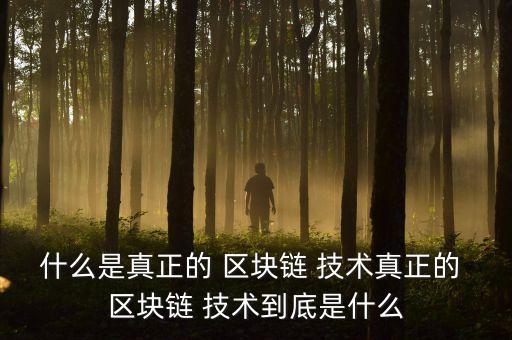 什么是真正的 區(qū)塊鏈 技術真正的 區(qū)塊鏈 技術到底是什么