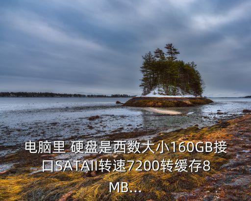 電腦里 硬盤是西數(shù)大小160GB接口SATAII轉(zhuǎn)速7200轉(zhuǎn)緩存8MB...