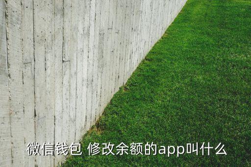  微信錢包 修改余額的app叫什么