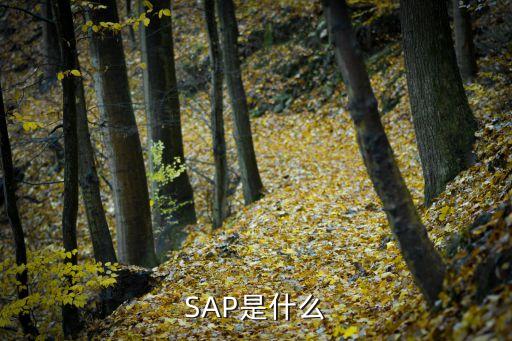 sap對鎖的主要實現(xiàn)手段是 由數(shù)據(jù)庫自動進行sap不用處理