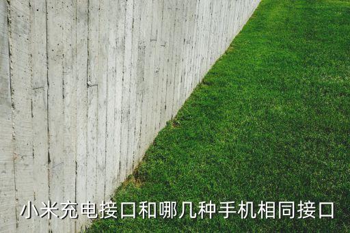  小米充電接口和哪幾種手機(jī)相同接口