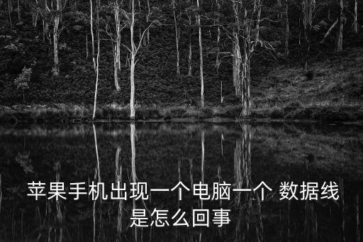  蘋果手機(jī)出現(xiàn)一個(gè)電腦一個(gè) 數(shù)據(jù)線是怎么回事