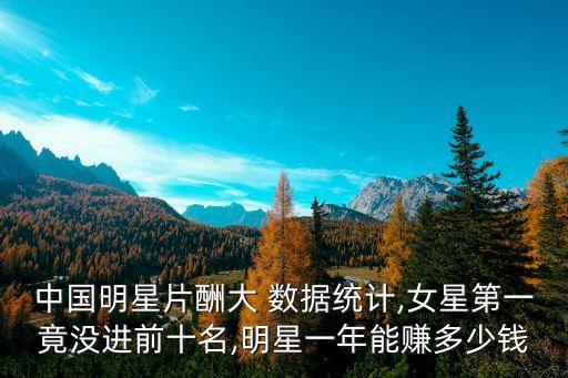中國明星片酬大 數(shù)據(jù)統(tǒng)計,女星第一竟沒進前十名,明星一年能賺多少錢