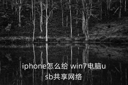 iphone怎么給 win7電腦usb共享網(wǎng)絡(luò)