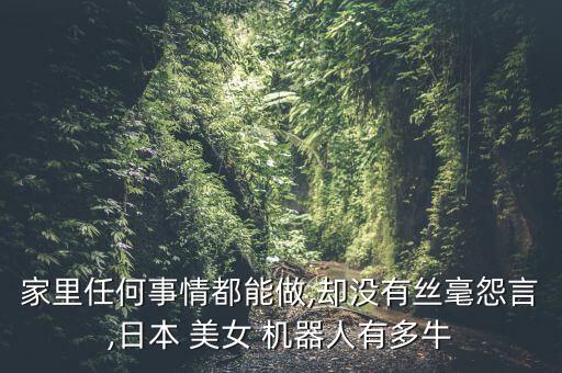 家里任何事情都能做,卻沒有絲毫怨言,日本 美女 機器人有多牛