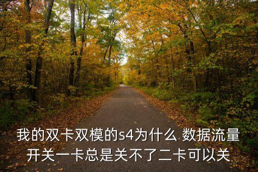 我的雙卡雙模的s4為什么 數(shù)據(jù)流量開關(guān)一卡總是關(guān)不了二卡可以關(guān)