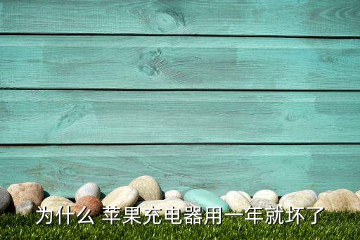 為什么 蘋果充電器用一年就壞了