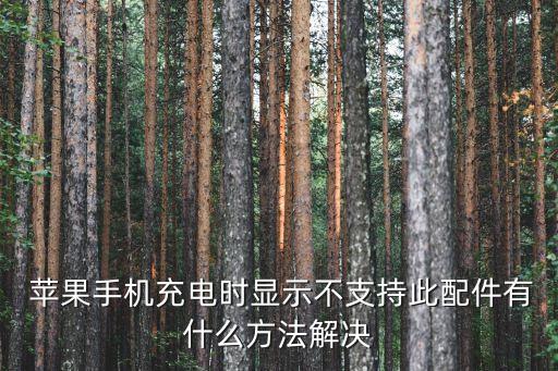  蘋(píng)果手機(jī)充電時(shí)顯示不支持此配件有什么方法解決
