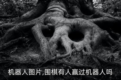 機器人圖片,圍棋有人贏過機器人嗎
