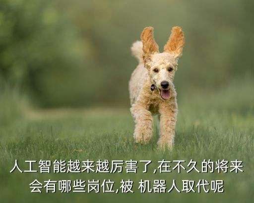 全自動做衣服的機器人,做衣服機器人價格