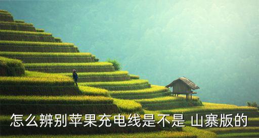 iphone 山寨數(shù)據(jù)線,山寨數(shù)據(jù)線對手機(jī)有影響嗎
