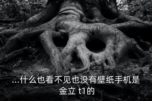 金立t1怎么刪除數(shù)據(jù)