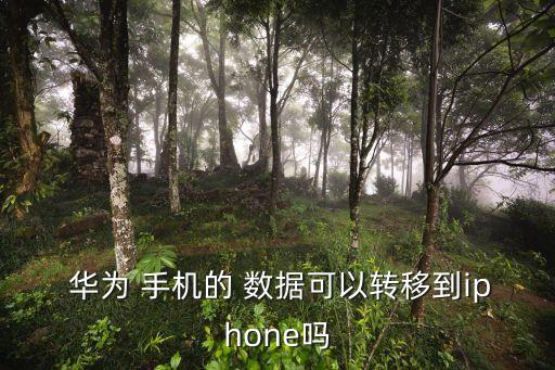  華為 手機的 數(shù)據(jù)可以轉(zhuǎn)移到iphone嗎