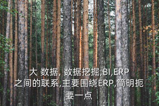 大 數(shù)據, 數(shù)據挖掘,BI,ERP之間的聯(lián)系,主要圍繞ERP,簡明扼要一點