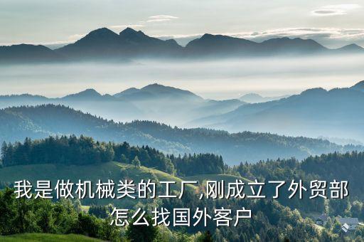 我是做機械類的工廠,剛成立了外貿(mào)部怎么找國外客戶