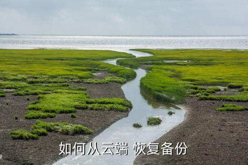 手機(jī) 電腦 云數(shù)據(jù)恢復(fù),手機(jī)云電腦平臺哪個(gè)最好