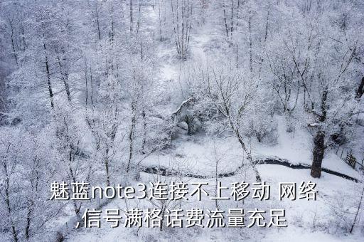  魅藍(lán)note3連接不上移動(dòng) 網(wǎng)絡(luò),信號(hào)滿格話費(fèi)流量充足