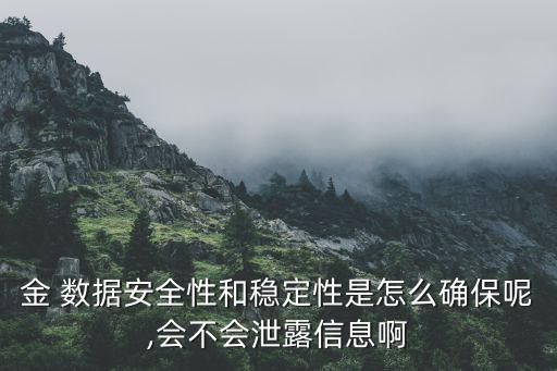 金 數(shù)據(jù)安全性和穩(wěn)定性是怎么確保呢,會(huì)不會(huì)泄露信息啊
